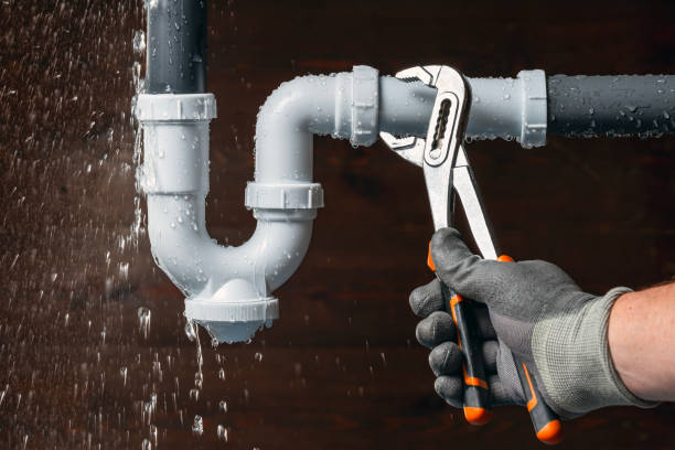 Professional Plumbing technician working in Iona, FL